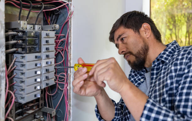 Best Electrical System Inspection  in Spurgeon, TN